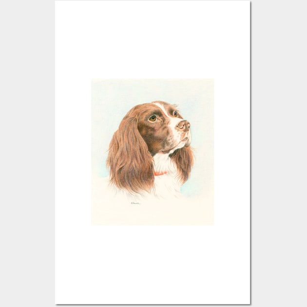 Springer spaniel Wall Art by fionahooperart